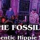 The Fossils event image