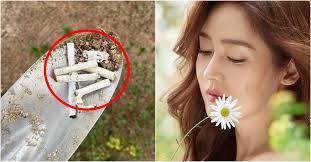 아이엠스쿨 교육상품 전문 큐레이터가 자녀교육에 필요한 제품을 추천드려요. ì„±ìœ ë¦¬ ë‚¨íŽ¸ ì•ˆì„±í˜„ê³¼ ê·¼í™©ì€ ì§ì—…ë¶€í„° ì•„ê¸°ê¹Œì§€ ê´€ì‹¬ íŒŒë¹„ë‰´ìŠ¤