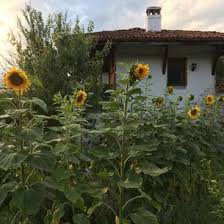 Learn tips for fitting herbs into your yard. Come Stay At Our Small Organic Herb Farm Near Plovdiv Bulgaria