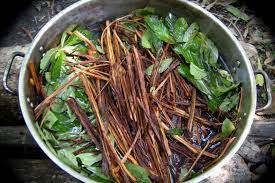 Ranging from mildly stimulating to extremely visionary, ayahuasca is used primarily as a medicine and as a shamanic means of communication, typically in a ceremonial session under the. Ayahuasca Grieving Parents Issue Warning To Backpackers After Son S Death On Jungle Drug Retreat Abc News