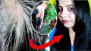 It promotes the development of healthier black hair instead of white hair. Use This Powder For 30 Min Turn White Hair To Black Hair Naturally No Chemical No Dye Youtube