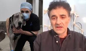 Might lose him' Supervet Noel Fitzpatrick torn over surgery for 'disaster'  pet condition