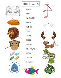 Body parts english worksheets for kids and teachers special to learning body parts words. 1st Kids Body Parts Worksheet