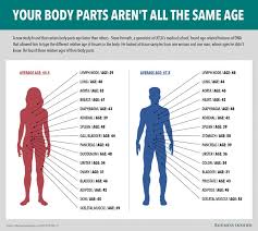 Generally speaking, a woman's body is made up of soft rounded shapes: Some Parts Of Your Body Age Faster