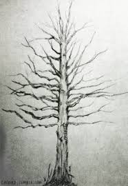 These tree drawings are a way to give your guests a unique, memorable, and interactive arrival experience, and after the celebration, the result is a personalized piece of artwork to take and display in your home to remember your. Pencil Tree Sketches At Paintingvalley Com Explore Collection Of Pencil Tree Sketches