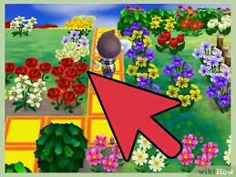 Flower animal crossing new leaf wiki fandom. How To Grow Flowers In Animal Crossing New Leaf 4 Steps