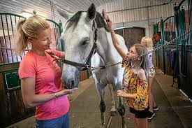 Malin baryard is a swedish equestrian, competing in show jumping. Malin Baryard Johnsson Ar Superpeppad Infor Em I Ridsport Svd