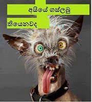 Posts to sinhala joks / සිංහල ජොක්ස්. 12 Facebook Sinhala Photo Comments Ideas Photo Funny Pictures Father Picture