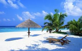 They really give an instant serene feeling to your desktop. 12 Best Free Summer Wallpapers Of 2021