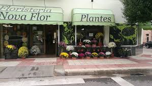 Floristeria Nova Flor