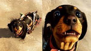 Have a far cry new dawn question or want more information? I Would Absolutely Die For Far Cry 6 Companion Chorizo The Sausage Dog