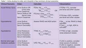 Image result for Transtubular Potassium Gradient