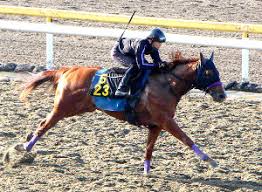 It's fully loaded with all the charms of villainesses!! Cprgk Fitz4fum