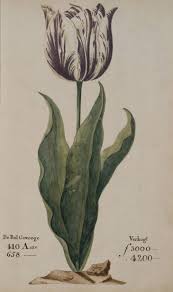 Well you're in luck, because here they come. Tulip Mania Wikipedia