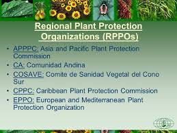 Resultado de imagen de Tree protection agencies