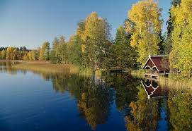 This page is in finnish. En Finlande Vivre Au Fond Des Bois A Rautalampi