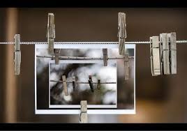 Still Life Photography Life Photography Still Life Artists