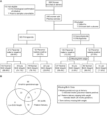 Description Of Study Population A Flow Chart Of Samples