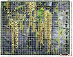 программа для перевода изображения в схему для вышивки крестом Programma Perevoda Lyuboj Kartinki V Shemu Dlya Zhakarda Vyshivki Po Vyazaniyu I T P Vyazanie Vyshivka Zhakkardovoe Vyazanie
