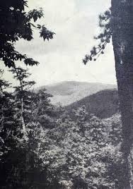 Appalachian 1940 by MaryvilleSchools