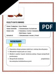 Kunyit digunakan sebagai pewarna barangan kulit , tekstil , tikar paling terkenal untuk kain sami buddha. Rempah Ratus