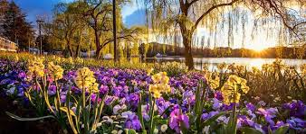 Canberra is the federal capital of the commonwealth of australia located at the northern end of the australian capital territory (act). Canberra Reisefuhrer Hauptstadt Von Australien Infos Und Angebote