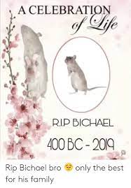 A Celebration Of Life Rip Bichael 400 Bc 2019 Rip Bichael Bro Only The Best For His Family Family Meme On Me Me