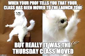 Funny Cat Memes Songs Funny Cat Memes New Year Meme Persian Cat Room Guardian