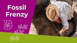 Fossil Frenzy