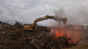 Maybe you would like to learn more about one of these? Digging Pit Burning Brush With Excavator Youtube