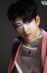 The good wife, awl, i hear your voice, witch's court, majo saiban, stranger, memory, solomon's perjury, prosecutor princess and protect the boss The Devil Judge Star Jinyoung Confirms Yumi S Cells As His Next Drama Project Kdramastars
