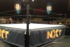 Former Tna Star Makes Nxt Debut Pwp Nation