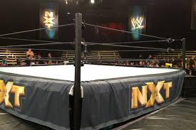 former tna star makes nxt debut pwp nation