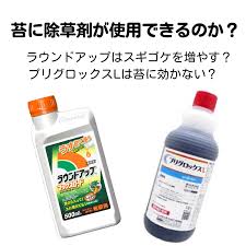 苔 を 枯らす 除草 剤