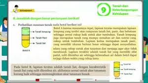 Jawaban uji kompetensi bab 10 ipa kelas 9 bab teknologi ramah lingkungan. Soal Isian Jawaban Uji Kompetensi Bab 9 Ipa Kelas 9 Hal 198 Tanah Dan Keberlangsungan Kehidupan Youtube