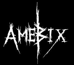 Image result for anarcho punk logo