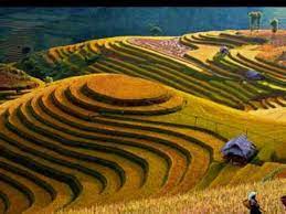 Pada zaman modern seperti sekarang ini, pemandangan bisa diciptakan sedemikian rupa. Sawah Paling Indah Di Dunia Youtube