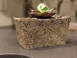 It sheds in a process called exfoliation. Light Weight Concrete Planters Garden Diy Youtube