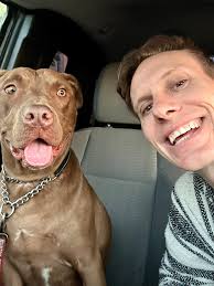 Found dog in East Hollywood needs new home