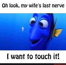 Oh Look My Wife S Last Nerve Want To Touch It America S Best Pics And Videos