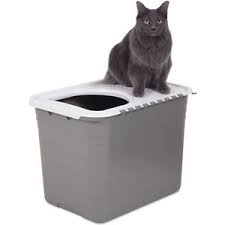 5 Best Top Entry Cat Litter Boxes 2021 Easy To Use Clean