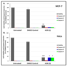 Image result for Acridocarpus chloropterus