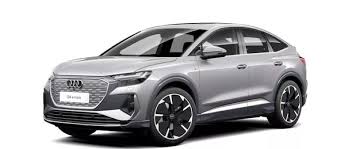 Image result for Pebble Gray 2024 Q4