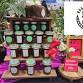 Rogue Valley Medford Growers Market - Thursdays event image