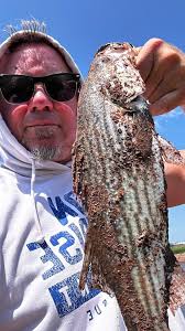 Goldfish Has No Hiding Place.