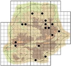 Image result for Strychnos usambarensis