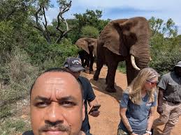 The Elephant Sanctuary in Hartbeespoort isn't just a place to see  elephants—it's a place to learn about their history and the importance of  ethical animal tourism. 🐘 The sanctuary offers intimate guided