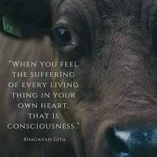 Pin On Compassionate Heart