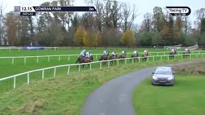 Ferny Hollow Makes A Winning Debut Over Horse Racing Ireland