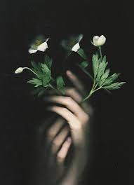 Natalia Drepina The Night Garden Of The Subconscious Mind International Photography Magazine In 2020 Photography Night Garden Magazine Photography